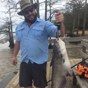 Meet your Posher, Cody